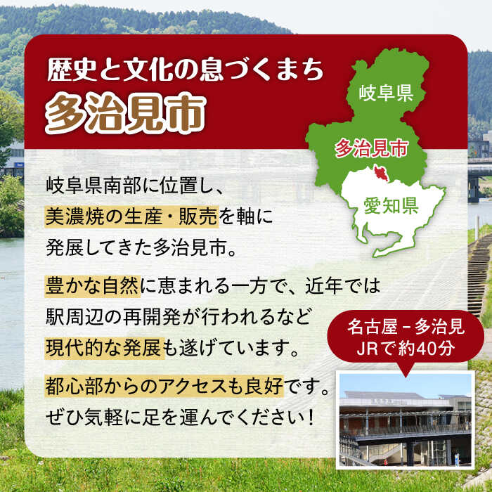 【ふるさと納税】岐阜県多治見市の対象施設で使える楽天トラベルクーポン 寄付額50,000円 旅行 出張 宿泊 / 多治見市ふるさと納税 [TDA017]