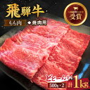 【ふるさと納税】 飛騨牛 焼肉 用 もも肉 1kg【肉のひぐち】≪多治見市≫ 牛モモ 国産 ブランド牛 和牛 TDC004