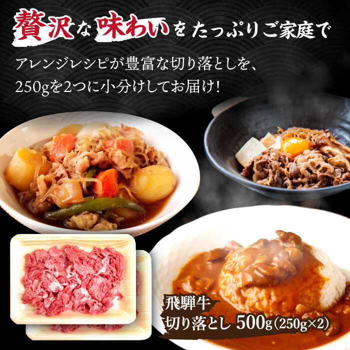 【ふるさと納税】 飛騨牛 切り落とし 500g ( 250g × 2 ) 【肉のひぐち】≪多治見市≫ 牛肉 国産 ブランド牛 和牛 [TDC009]