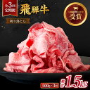 【ふるさと納税】【 3回 定期便 】【 飛騨牛 】切り落とし 総計 1.5kg ( 1回あたり ) 500g ( 250g × 2 )【肉のひぐち】≪多治見市≫ 牛肉 国産 ブランド牛 和牛 TDC010