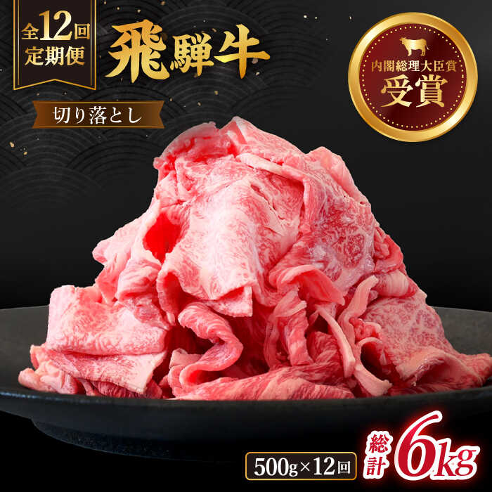 【 12回 定期便 】【 飛騨牛 】切り落とし 総計 6kg ( 1回あたり ) 500g ( 250g × 2 ) 【肉のひぐち】≪多治見市≫ 牛肉 国産 ブランド牛 和牛 [TDC012]