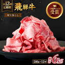 【ふるさと納税】【 12回 定期便 】【 飛騨牛 】切り落とし 総計 6kg ( 1回あたり ) 500g ( 250g × 2 ) 牛肉 国産 ブランド牛 和...