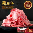 【ふるさと納税】 飛騨牛 切り落とし 1kg ( 250g × 4 )【肉のひぐち】≪多治見市≫ 牛肉 国産 ブランド牛 和牛 TDC013