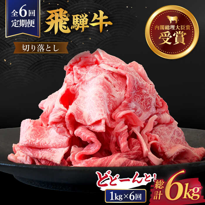 【6回定期便】【飛騨牛】切り落とし 総計6kg 〈1回あたり〉1kg （250g×4）【肉のひぐち】 国産 ブランド牛 和牛 [TDC015]