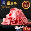 【ふるさと納税】 【6回定期便】【飛騨牛】切り落とし 総計6kg 〈1回あたり〉1kg (250g×4) 国産 ブランド牛 和牛 多治見市/肉のひぐち [TDC...