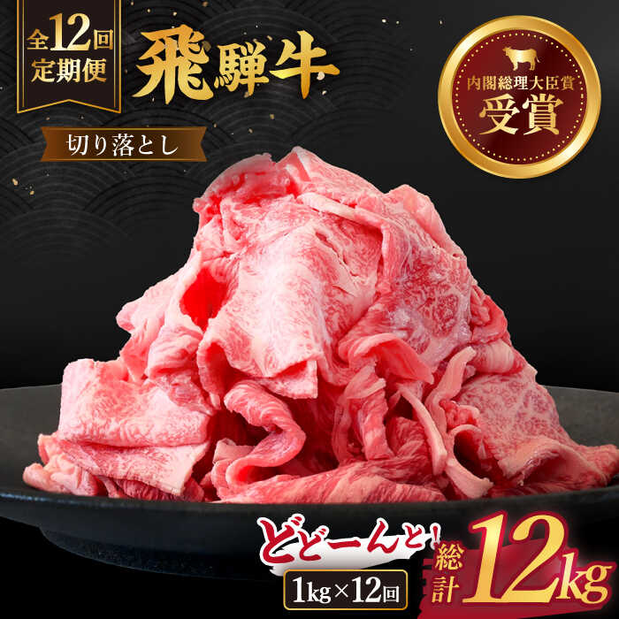 【12回定期便】【飛騨牛】切り落とし 総計12kg 〈1回あたり〉1kg （250g×4）【肉のひぐち】 国産 ブランド牛 和牛 [TDC016]