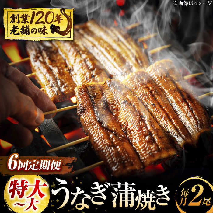 【6回定期便】 うなぎ 蒲焼き 2尾 × 6回 計12尾 鰻 ウナギ 丑の日 多治見市/澤千 [TDD006]