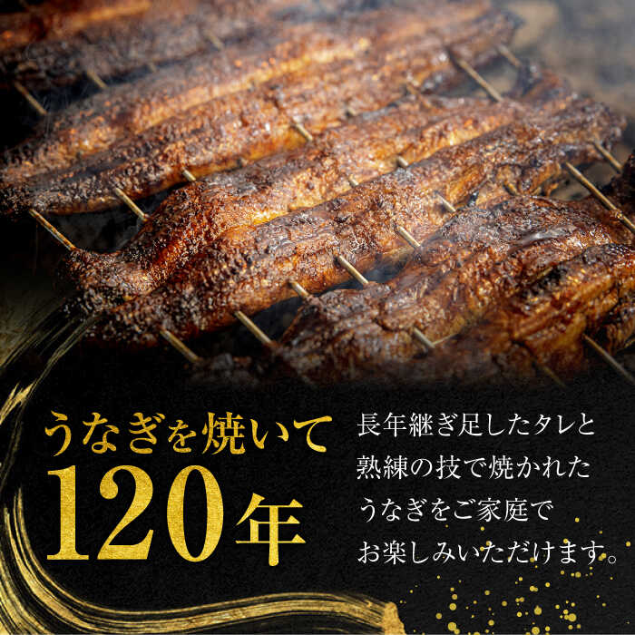 【ふるさと納税】【12回定期便】 うなぎ 蒲焼き 2尾 × 12回 計24尾 鰻 ウナギ 丑の日 多治見市/澤千 [TDD007]