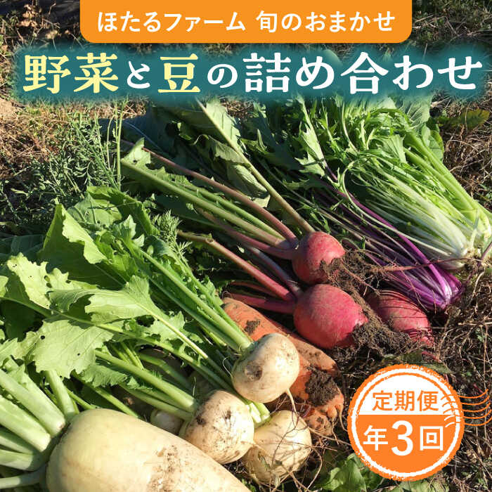 12位! 口コミ数「0件」評価「0」※数量限定※【3回定期便】 野菜と豆の詰め合わせ セット 【ほたるファーム】 [TEB001]