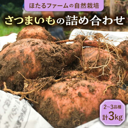 ※数量限定※【先行予約】自然栽培のさつまいも 約3kg 2〜3品種【ほたるファーム】 [TEB003]