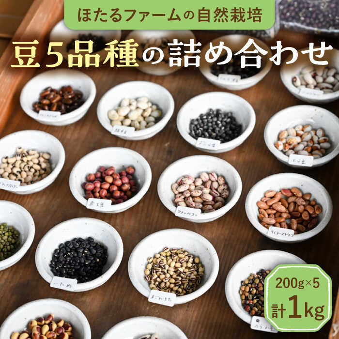 【ふるさと納税】※数量限定※【先行予約】自然栽培の豆 5品種 約1kg 【ほたるファーム】 [TEB004]