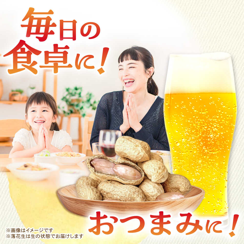 【ふるさと納税】 【先行予約】 落花生 2品種 約1kg(500g×2) 多治見市 / ほたるフ...