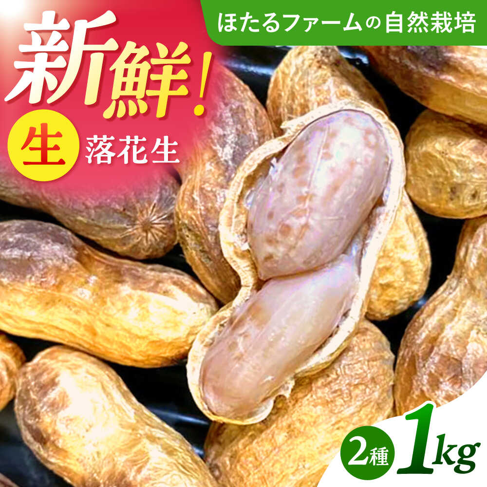 【ふるさと納税】 【先行予約】 落花生 2品種 約1kg(500g×2) 多治見市 / ほたるフ...