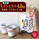 10位! 口コミ数「0件」評価「0」【令和5年産：精米】 特別栽培米 コシヒカリ （5kg） + 【美濃焼】 赤絵かいらぎ マグカップ （2個） 【山松加藤松治郎商店】 [TE･･･ 