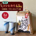 15位! 口コミ数「0件」評価「0」【令和5年産：精米】 特別栽培米 コシヒカリ （5kg） + 【美濃焼】 青雲かいらぎ フリーカップ 大 （2個） 【山松加藤松治郎商店】 ･･･ 