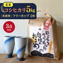 【ふるさと納税】【令和7年産】 玄米 コシヒカリ 特別栽培米 (5kg) + 【美濃焼】 青雲かいらぎ フリーカップ 大 (2個) 多治見市 / 山松加藤松治郎...