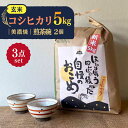 13位! 口コミ数「0件」評価「0」【令和5年産：玄米】 特別栽培米 コシヒカリ （5kg） + 【美濃焼】 赤絵かいらぎ 煎茶碗 （2個） 【山松加藤松治郎商店】 [TEU0･･･ 