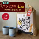 26位! 口コミ数「0件」評価「0」【令和5年産：精米】 特別栽培米 コシヒカリ （5kg） + 【美濃焼】 青雲かいらぎ 湯呑 大 （2個） 【山松加藤松治郎商店】[TEU0･･･ 