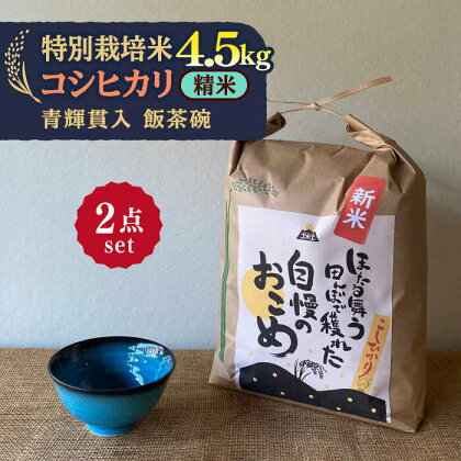 【令和5年産：精米】 特別栽培米 コシヒカリ （5kg） + 【美濃焼】 青輝貫入 飯茶碗 【山松加藤松治郎商店】[TEU035]