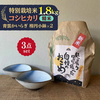 【令和5年産：精米】 特別栽培米 コシヒカリ （2kg） + 【美濃焼】 青雲かいらぎ 楕円小鉢 （2点） 【山松加藤松治郎商店】[TEU037]