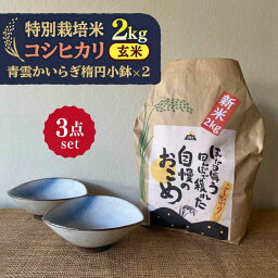 【ふるさと納税】【令和5年産：玄米】 特別栽培米 コシヒカリ （2kg） + 【美濃焼】 青雲かいらぎ 楕円小鉢 （2個） 【山松加藤松治郎商店】[TEU038]