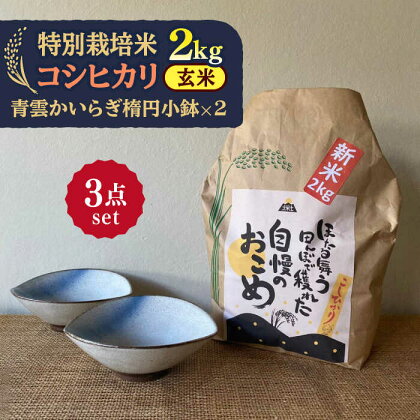 【令和5年産：玄米】 特別栽培米 コシヒカリ （2kg） + 【美濃焼】 青雲かいらぎ 楕円小鉢 （2個） 【山松加藤松治郎商店】[TEU038]