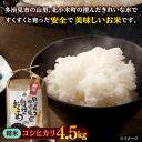 【ふるさと納税】【令和5年産：精米】 特別栽培米 コシヒカリ （5kg） + 【美濃焼】 青雲かいらぎ 楕円小鉢 （2点） 【山松加藤松治郎商店】[TEU039] 3