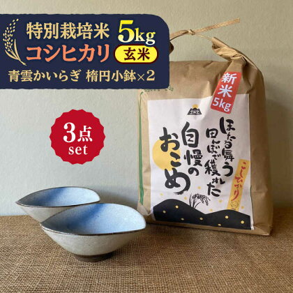 【令和5年産：玄米】 特別栽培米 コシヒカリ （5kg） + 【美濃焼】 青雲かいらぎ 楕円小鉢 （2個） 【山松加藤松治郎商店】[TEU040]