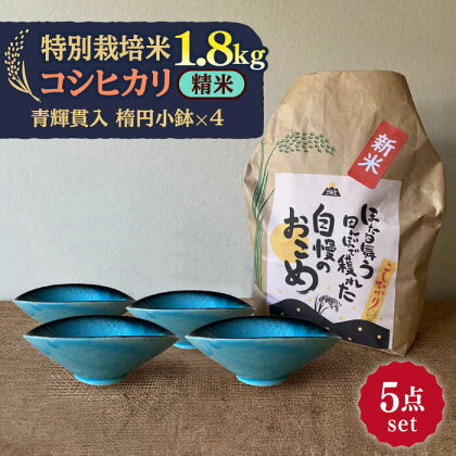 【令和5年産：精米】 特別栽培米 コシヒカリ （2kg） + 【美濃焼】 青輝貫入 楕円小鉢 （4枚） 【山松加藤松治郎商店】[TEU041]