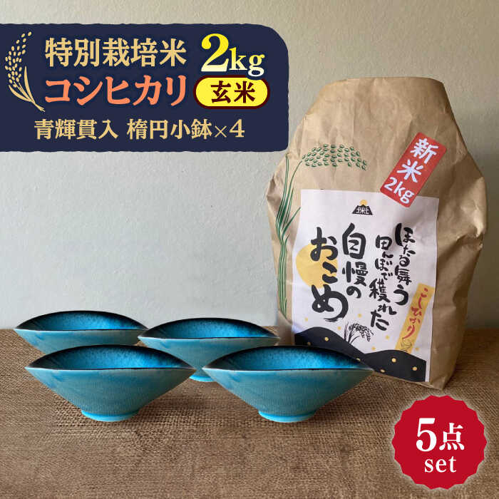 【ふるさと納税】【令和7年産】 玄米 コシヒカリ 特別栽培米 (2kg) + 【美濃焼】 青輝貫入 楕円小鉢 (4枚) 多治見市 / 山松加藤松治郎商店 [TE...