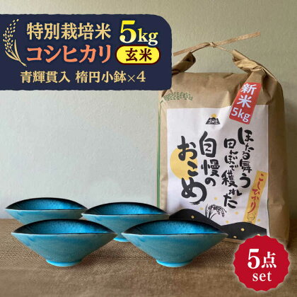 【令和5年産：玄米】 特別栽培米 コシヒカリ （5kg） + 【美濃焼】 青輝貫入 楕円小鉢 （4枚） 【山松加藤松治郎商店】[TEU044]