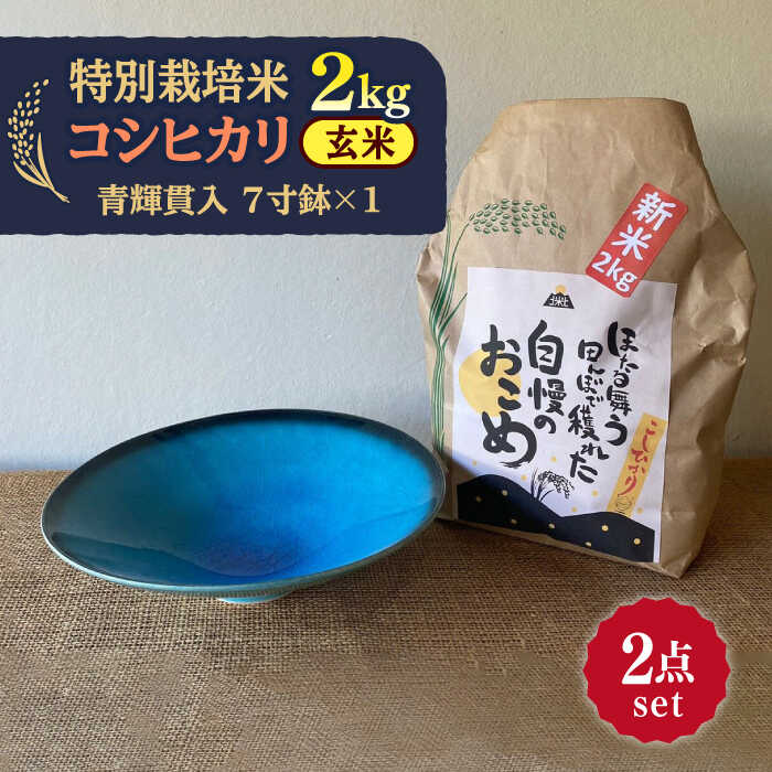 【令和5年産：玄米】 特別栽培米 コシヒカリ （2kg）+ 【美濃焼】 青輝貫入 7寸鉢 【山松加藤松治郎商店】[TEU050]