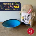 【ふるさと納税】【令和5年産：玄米】 特別栽培米 コシヒカリ （2kg）+ 【美濃焼】 青輝貫入 7寸鉢 【山松加藤松治郎商店】[TEU050]