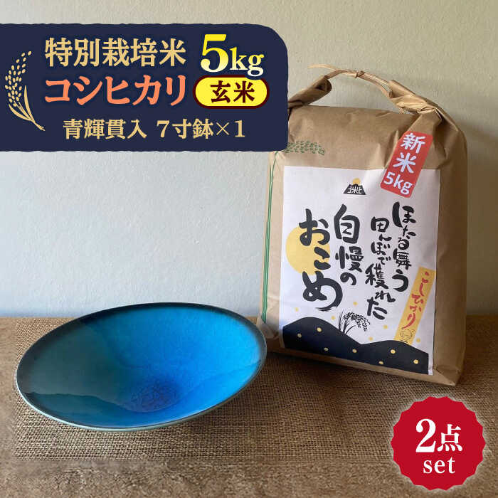 【令和5年産：玄米】 特別栽培米 コシヒカリ （5kg）+ 【美濃焼】 青輝貫入 7寸鉢 【山松加藤松治郎商店】[TEU052]