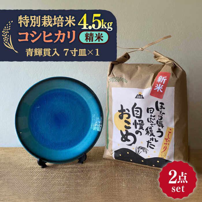 [令和5年産:精米] 特別栽培米 コシヒカリ (5kg)+ [美濃焼] 青輝貫入 7寸皿 [山松加藤松治郎商店]