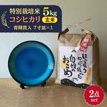 【令和5年産：玄米】 特別栽培米 コシヒカリ （5kg）+ 【美濃焼】 青輝貫入 7寸皿 【山松加藤松治郎商店】[TEU054]