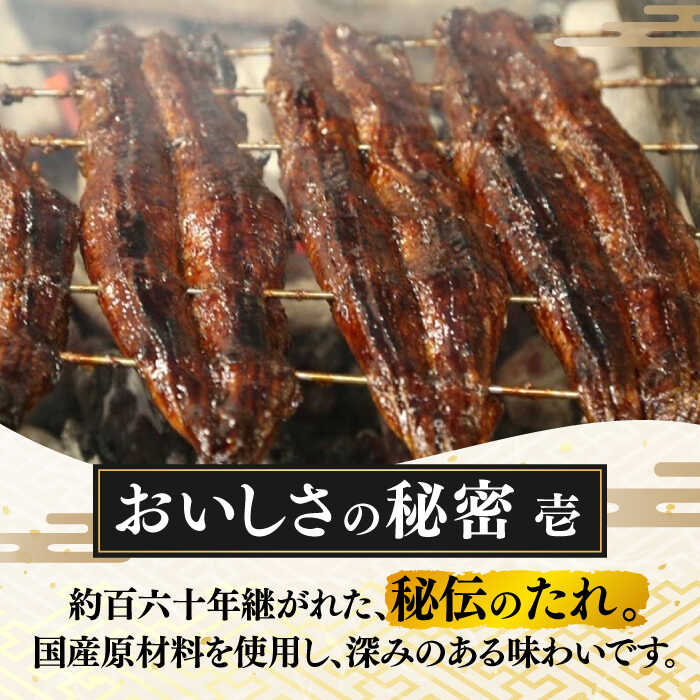 【ふるさと納税】【うなぎや】 炭火焼 うなぎの蒲焼き 1尾 【紀州備長炭使用】 鰻 うなぎ ウナギ 蒲焼き 老舗 大 特上 大容量 秘伝 [TFO001]