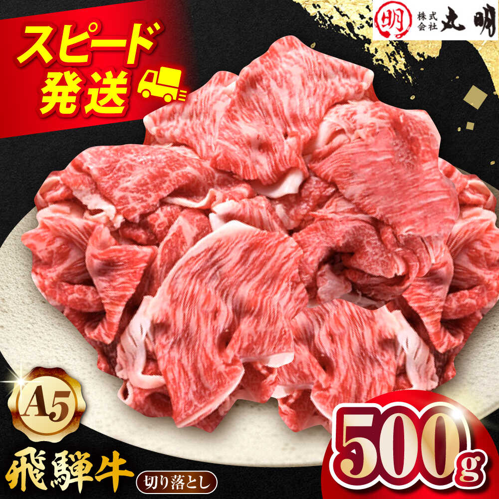 【A5等級】 飛騨牛 切り落とし 500g 用途いろいろ 多治見市 / 飛騨牛の丸明 冷凍 和牛 赤身 霜降り[THL002]