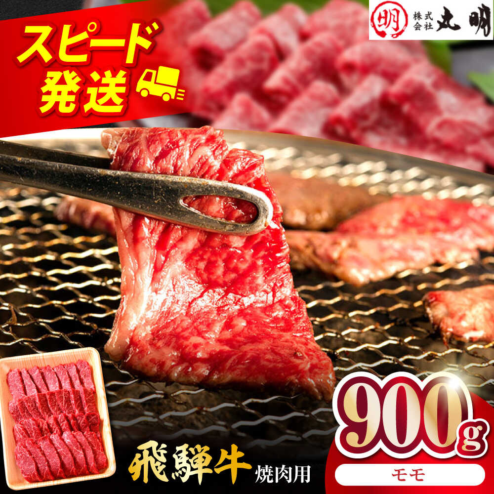 飛騨牛 モモ 900g 焼肉用 多治見市 / 飛騨牛の丸明 冷凍 和牛 赤身 霜降り[THL006]