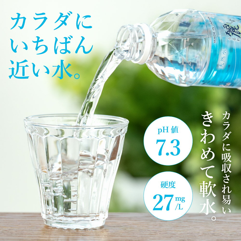 【ふるさと納税】硬度27mg/L 超軟水! ミネラルウォーター 500ml 送料無料 48本 軟水 ペットボトル 天然水 飲料水 麗しずく 24本 2ケース かわいい おしゃれ 水 長良川 名水百選 オゾン殺菌 保存用 ローリングストック 災害対策 非常用 備蓄 S8-12