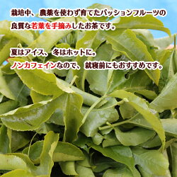 【ふるさと納税】手摘みパッションフルーツ茶 5パック　S10-19 ～葉、茶葉、ティーバッグ、飲料、健康習慣 画像2