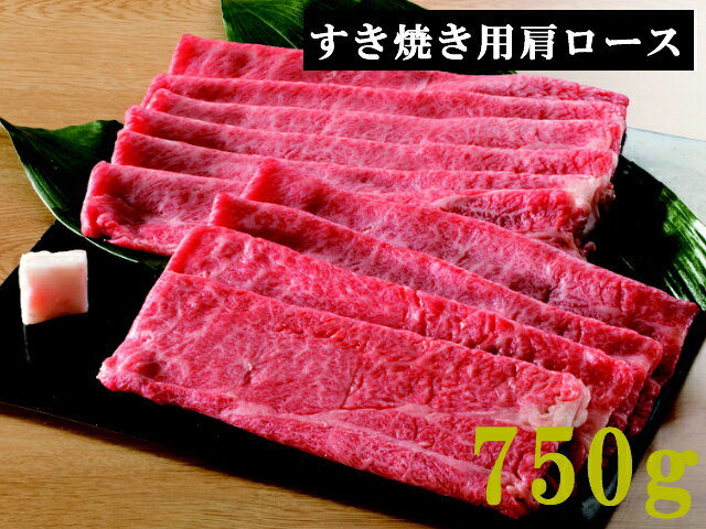 【ふるさと納税】59E033　飛騨牛食べ比べコース