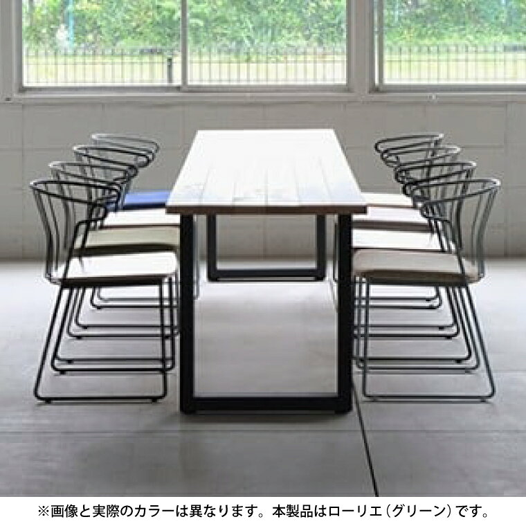 【ふるさと納税】feliceチェア (鉄製家具)  D165-01  鉄・アイアン・無垢 シンプル 椅子 いす ダイニングチェア リビングチェア デスクチェア テレワーク カフェ風 おしゃれ グリーン ローリエ 鉄家具 送料無料 [3]