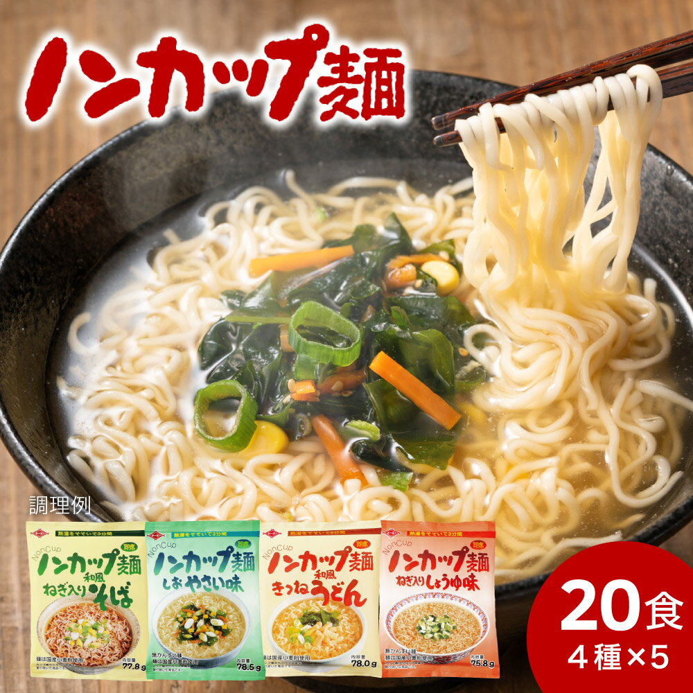 【ふるさと納税】インスタントラーメン 麺だけ 袋麺 ご当地 