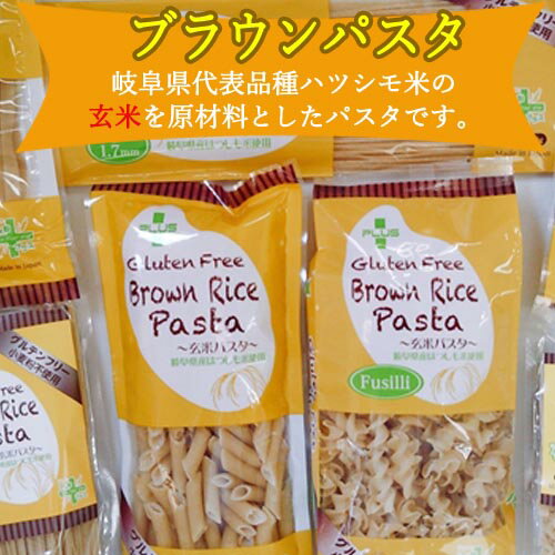 【ふるさと納税】グルテンフリー ブラウンライスパスタ 玄米粉 米粉パスタ 岐阜県産ハツシモ100% 国産 小麦粉不使用 乾麺 糖質制限 米粉麺 サラダスパゲッティ/マカロニ/アルファベットパスタ 備蓄 長期保存 防災食 ローリングストック用 PLUSパスタ S9 米粉パスタ G5-09