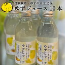 【ふるさと納税】S10-38「ゆずの里上之保」ゆずじゅーす10本セット ～無農薬の柚子を使った地元で人気のジュース～ 柚子ジュース 飲料 ドリンク ゆず 柚子 瓶 ビン ジュース セット 果汁 自家栽培 産地 送料無料 飲み物 果汁飲料 天然水