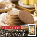 【ふるさと納税】せんべい 訳あり 訳アリ 煎餅 小袋 個包装 グルテンフリー 【訳あり】お徳用【ちょっと割れ】かすてらのせん米【岐阜県産ハツシモ米】 われせん ...