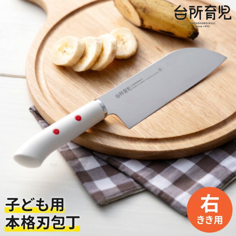子ども用包丁 [右利き](DI-101) 〜台所育児 誕生日プレゼント 進級祝い 入学祝い〜 こども 子供 キッズ お手伝い 料理の練習