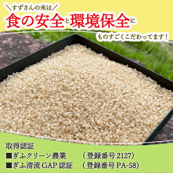 【ふるさと納税】すずさんの米：1等米のはつしも 4.5kg【精米】【楽天限定】 画像1