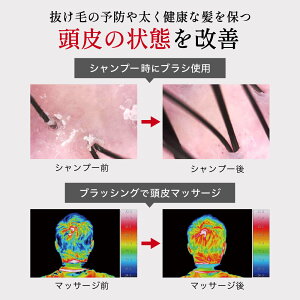 【ふるさと納税】H20-90 ■ドクターズ スカルプ ヘアケアブラシ〈医学博士監修・頭皮ケア〉 ◇貝印製（KQ1600） ～ピンク 頭皮マッサージ 毛穴クレンジング～ くし 櫛 クシ 髪 ヘアブラシ 髪ケア 頭 頭皮 マッサージ